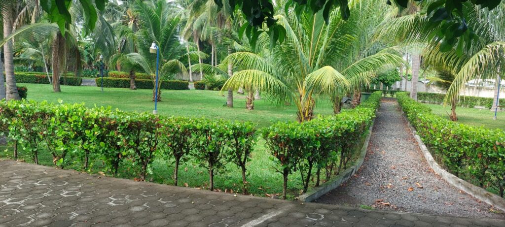 WhatsApp Image 2025-04-23 at 10.59.05 AM